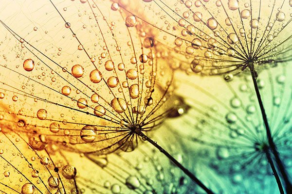 sacramento-iv-therapy